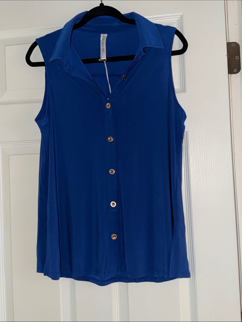 Sleeveless Button-Front Collared Top - Blue